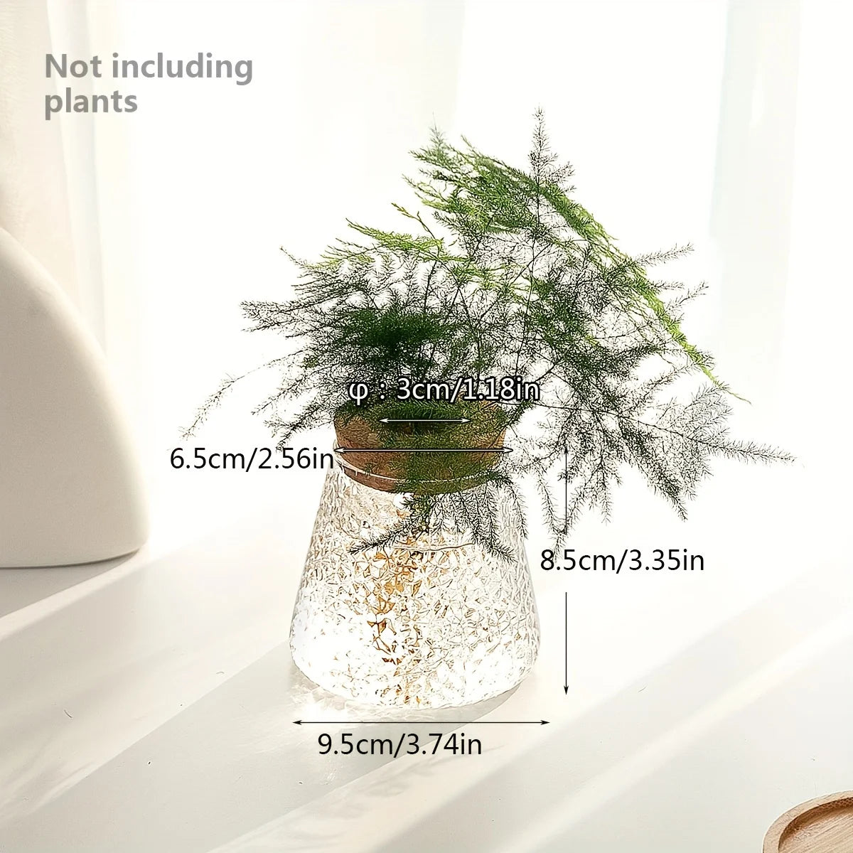 Glass Planter Propagation Station (1 pc)