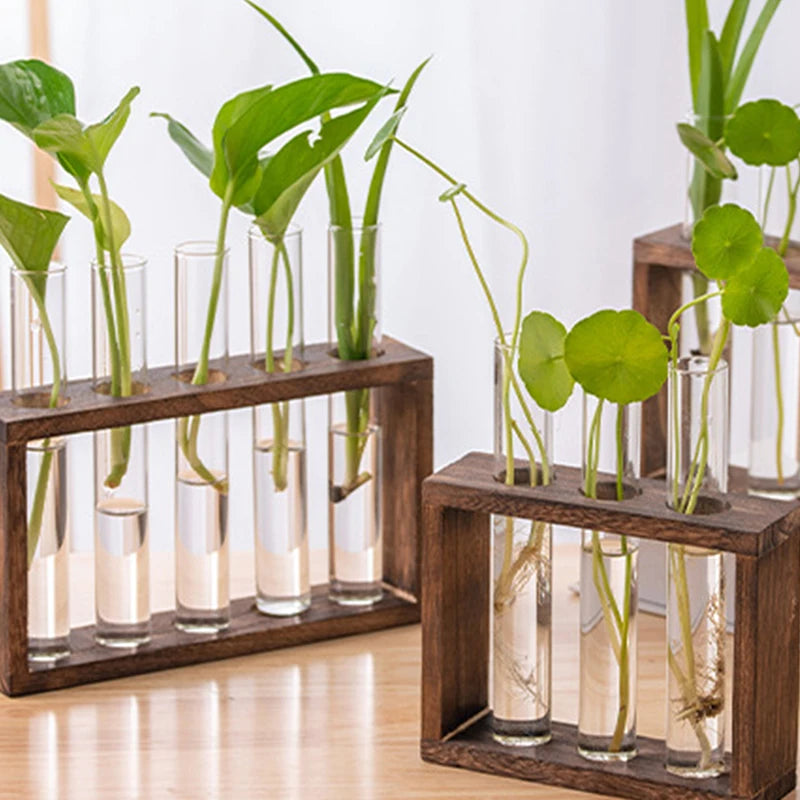 Test Tube Vases/Propagation Station