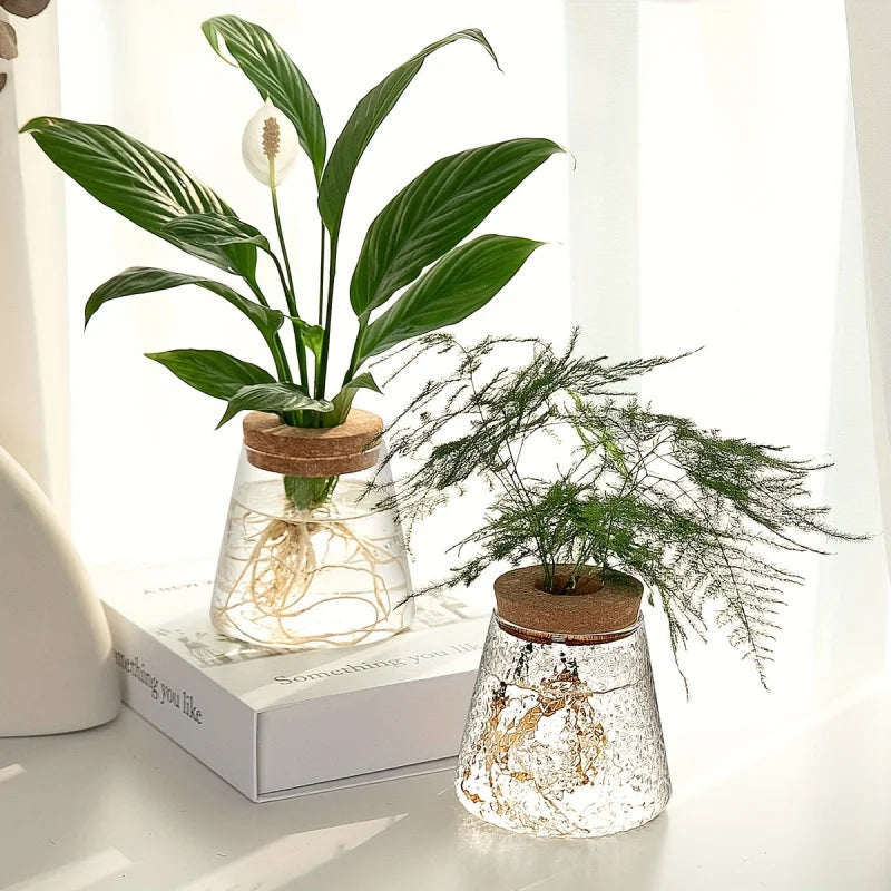 Glass Planter Propagation Station (1 pc)