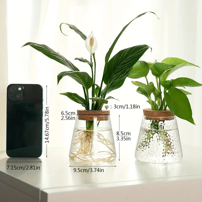 Glass Planter Propagation Station (1 pc)