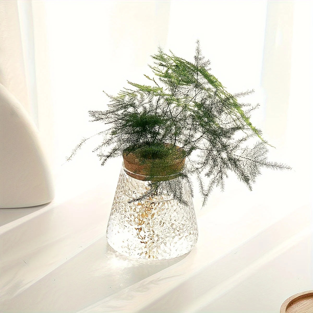 Glass Planter Propagation Station (1 pc)