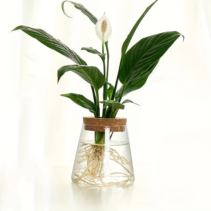 Glass Planter Propagation Station (1 pc)