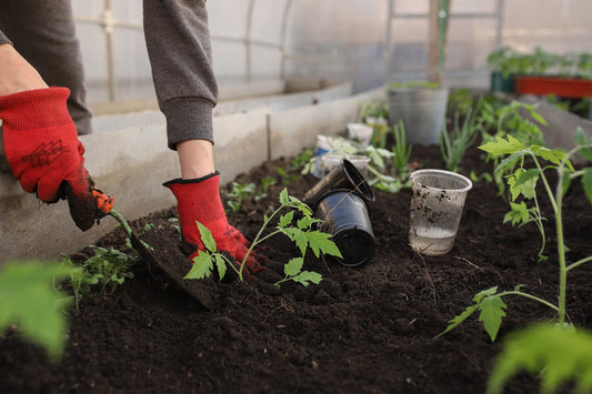 Digging Deep: The Perfect Soil for Your West Coast Raised Garden Beds