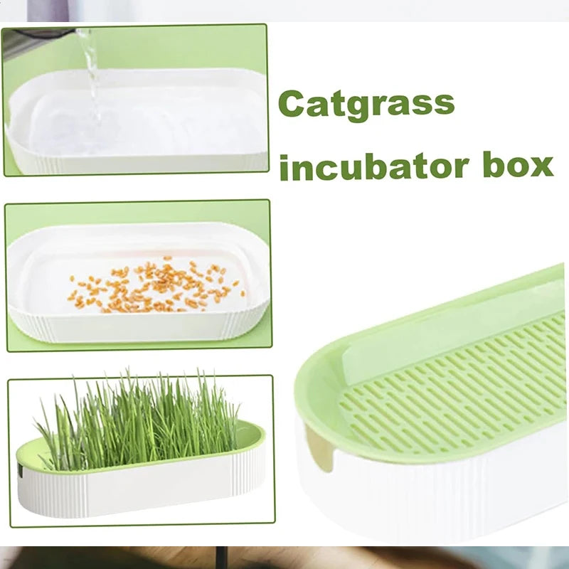 Hydroponic Cat Grass Box Cat Treats Catnip Hydroponic Soilless Planting Cat Grass Pot Set for Easy Growth