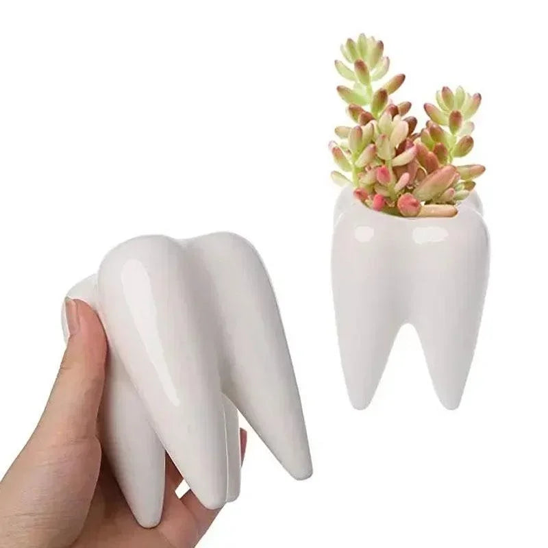 Succulent Potted Plant, Pure White Ceramic Pen Holder Home Decoration Tooth Shaped Cross-border Flower Pot