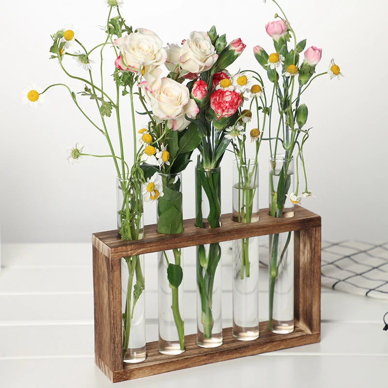 Test Tube Vases Glass Planter Fresh Flowers Hydroponic Planters Combination Flower Vase High Appearance Home Ornaments Holder