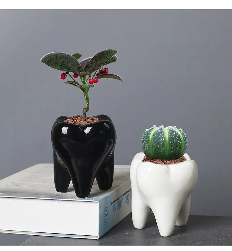 Creative Ceramic Tooth Shape Flower Pot Ornaments Outdoor Courtyard Balcony Succulent Plant Bonsai Pot Crafts Birthday Gifts