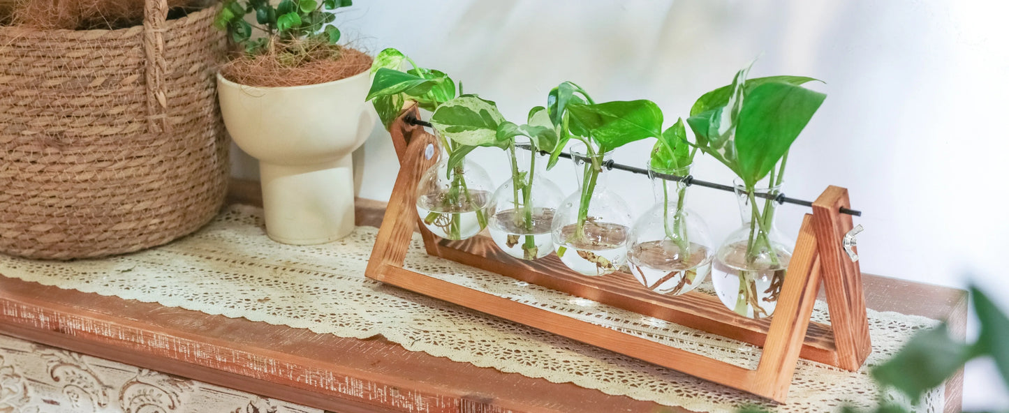 Tabletop Glass Planter Propagation Station Hydroponic Plant Vases In Wooden Rack Terrarium For Plants For Home Decor Room Decora