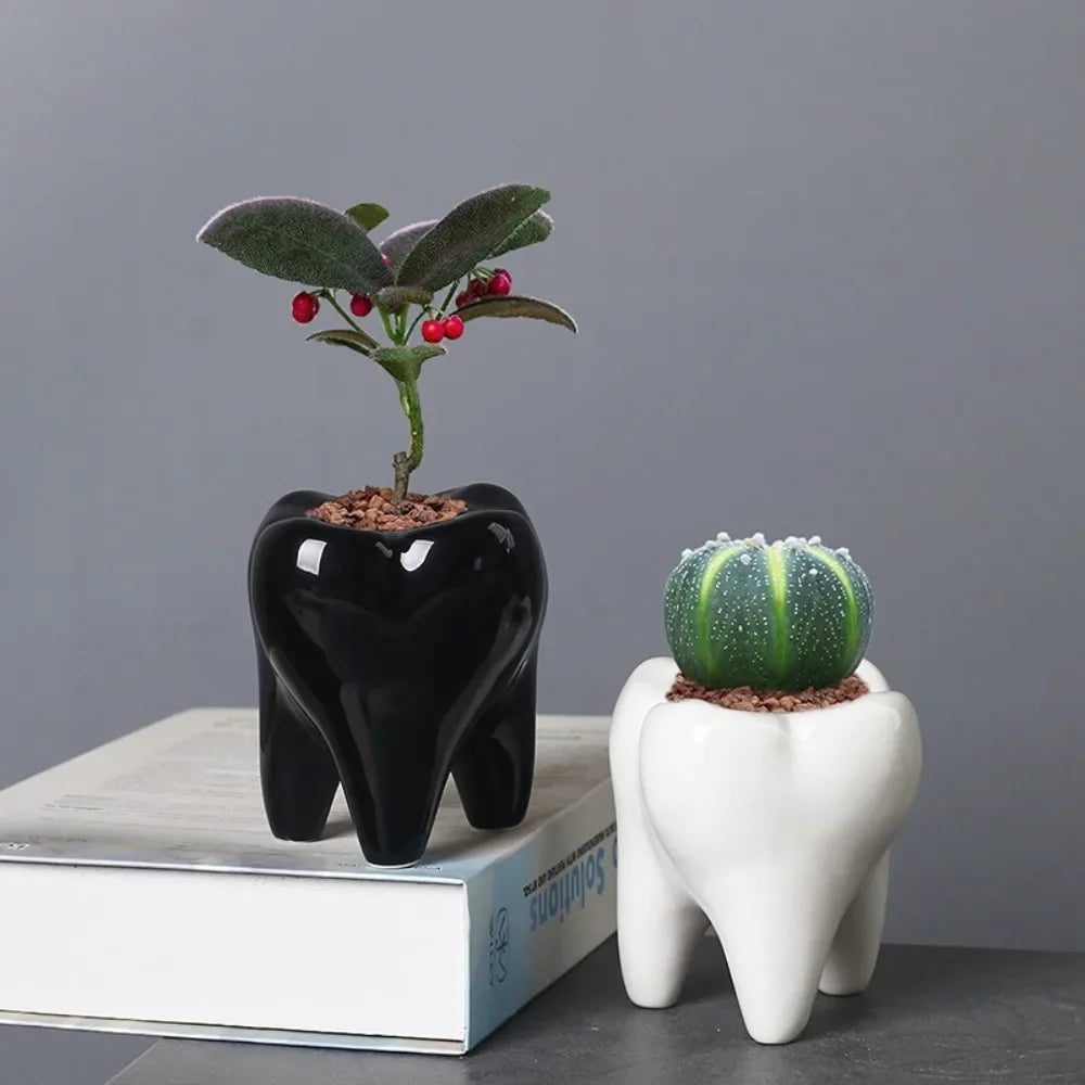 Creative Ceramic Tooth Shape Flower Pot Ornaments Outdoor Courtyard Balcony Succulent Plant Bonsai Pot Crafts Birthday Gifts