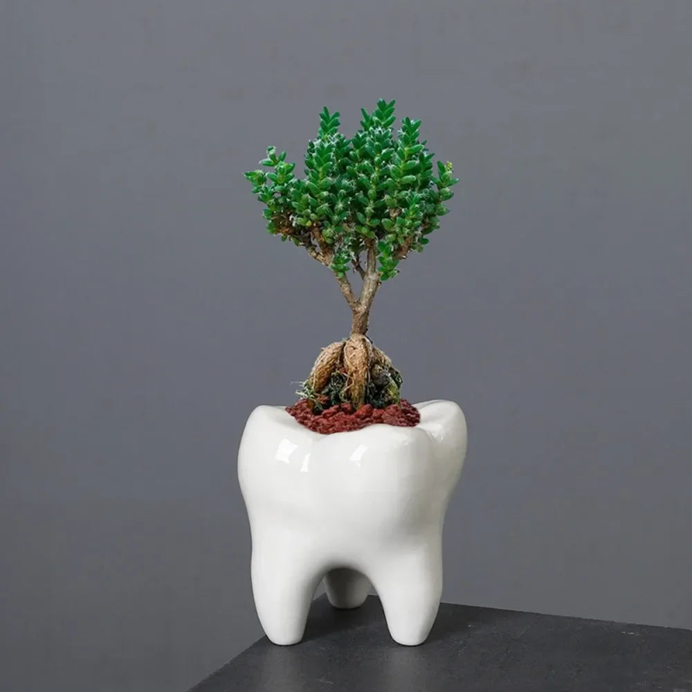 Creative Ceramic Tooth Shape Flower Pot Ornaments Outdoor Courtyard Balcony Succulent Plant Bonsai Pot Crafts Birthday Gifts