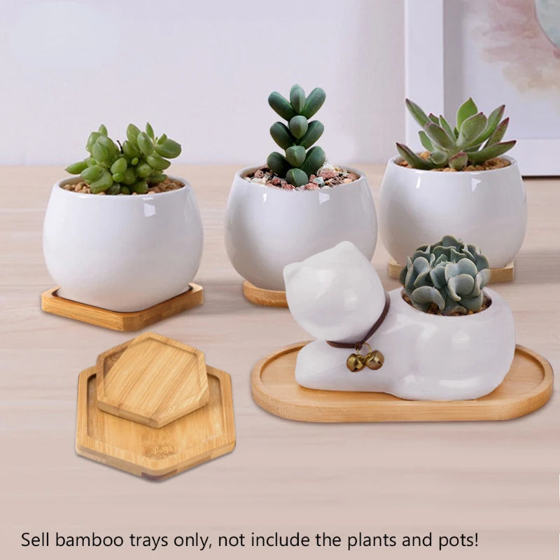 14 Style Round Square Flower Pots Planter Bamboo Tray Wood Holder Home Decor Gardening Supply Anti-Fade Simple Elegant Design