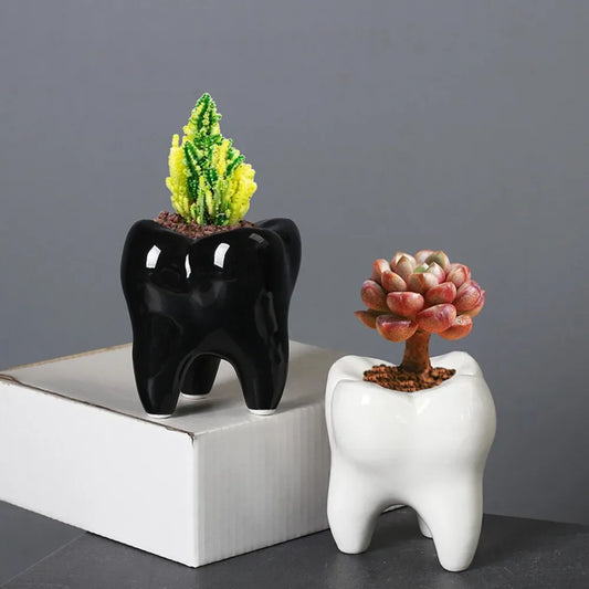 Creative Ceramic Tooth Shape Flower Pot Ornaments Outdoor Courtyard Balcony Succulent Plant Bonsai Pot Crafts Birthday Gifts