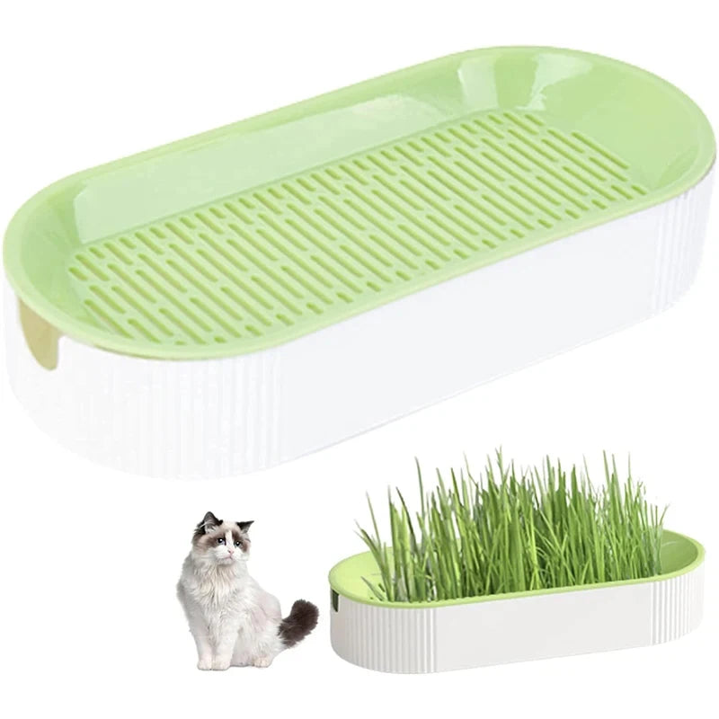 Hydroponic Cat Grass Box Cat Treats Catnip Hydroponic Soilless Planting Cat Grass Pot Set for Easy Growth