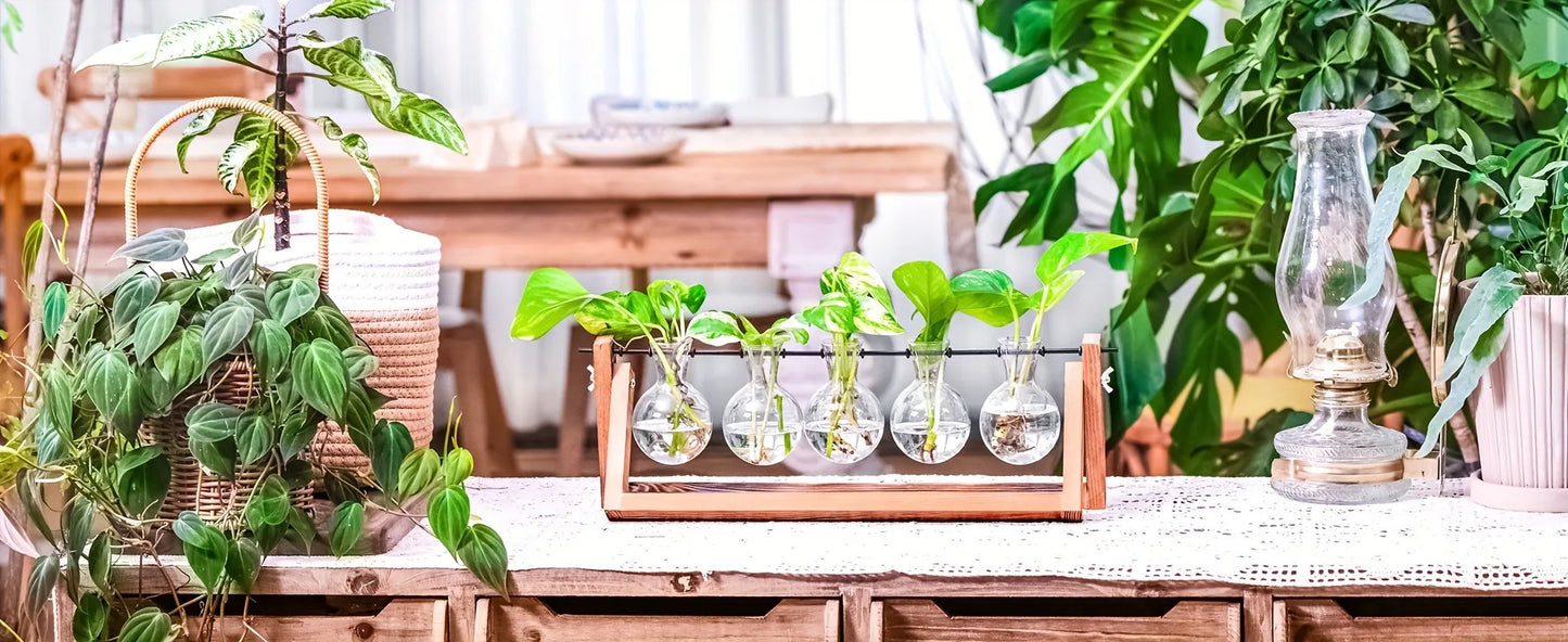 Tabletop Glass Planter Propagation Station Hydroponic Plant Vases In Wooden Rack Terrarium For Plants For Home Decor Room Decora