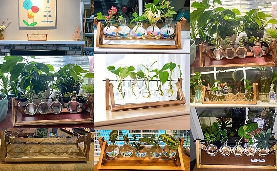 Tabletop Glass Planter Propagation Station Hydroponic Plant Vases In Wooden Rack Terrarium For Plants For Home Decor Room Decora