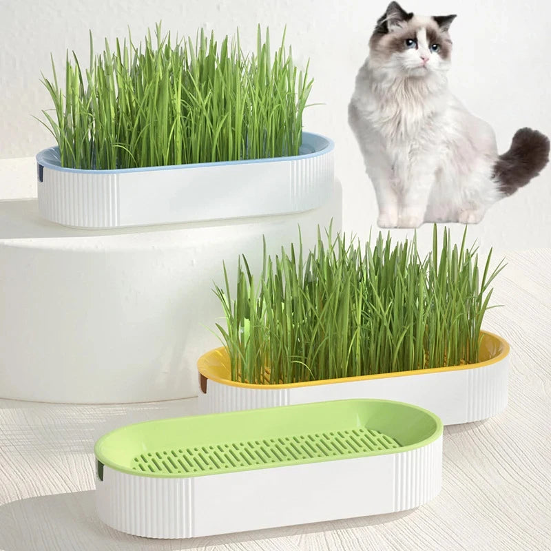 Hydroponic Cat Grass Box Cat Treats Catnip Hydroponic Soilless Planting Cat Grass Pot Set for Easy Growth