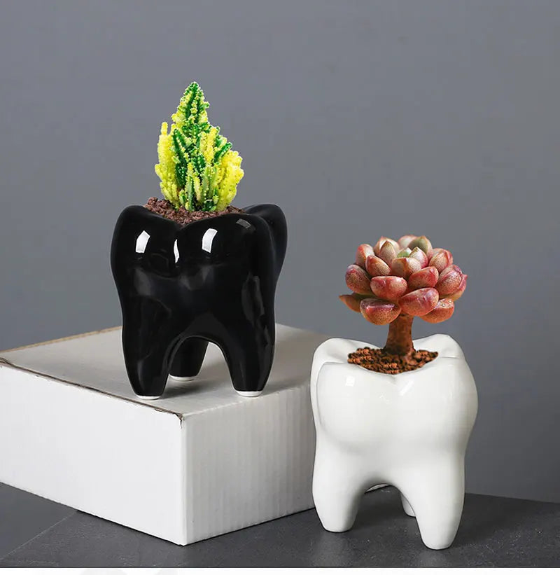 Creative Ceramic Tooth Shape Flower Pot Ornaments Outdoor Courtyard Balcony Succulent Plant Bonsai Pot Crafts Birthday Gifts