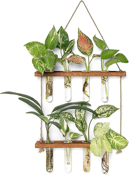 Wall Hanging Test Tube, Glass Planter Plant Vase with Wooden Stand & Strings Rope, Glass Planter Plant Terrarium  (2 layer)