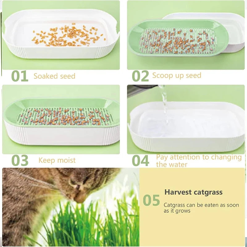 Hydroponic Cat Grass Box Cat Treats Catnip Hydroponic Soilless Planting Cat Grass Pot Set for Easy Growth