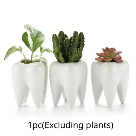 Succulent Potted Plant, Pure White Ceramic Pen Holder Home Decoration Tooth Shaped Cross-border Flower Pot